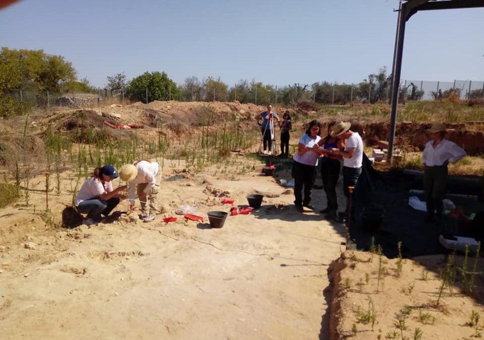 2022: Summer School I Messapi, epigrafia, lingua, archeologia, storia